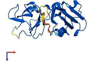 AlphaFold protein structure predicition of Mouse Recombinant Cryba2 Protein, UniprotID Q9JJV1