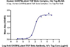 Immobilized Human GARP&Latent TGF Beta Complex at 5 μg/mL (100 μL/Well) on the plate.