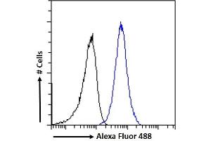 (ABIN184949) Flow cytometric analysis of paraformaldehyde fixed A431 cells (blue line), permeabilized with 0.