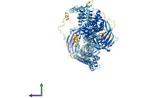 AlphaFold protein structure predicition of Human Recombinant ELP1 Protein, UniprotID O95163