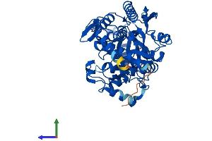 AlphaFold protein structure predicition of Mouse Recombinant Cndp1 Protein, UniprotID Q8BUG2
