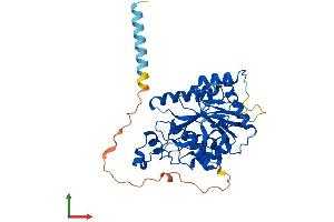 AlphaFold protein structure predicition of Mouse Recombinant B3gnt7 Protein, UniprotID Q8K0J2