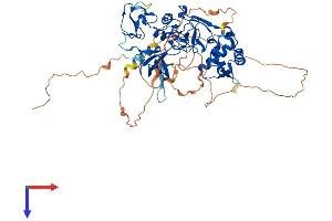 AlphaFold protein structure predicition of Human Recombinant PHF1 Protein, UniprotID O43189