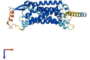 G Protein-Coupled Receptor 15 (GPR15) (AA 1-360) protein (His tag)