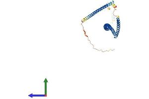 AlphaFold protein structure predicition of Mouse Recombinant Syce1 Protein, UniprotID Q9D495