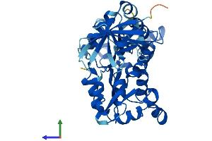 AlphaFold protein structure predicition of Human Recombinant NME7 Protein, UniprotID Q9Y5B8