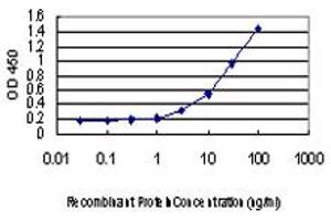 Detection limit for recombinant GST tagged CREB1 is approximately 1ng/ml as a capture antibody. (CREB1 anticorps  (AA 1-95))