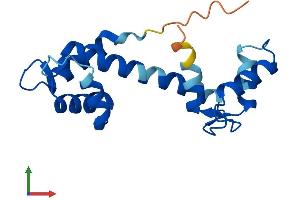 AlphaFold protein structure predicition of Human Recombinant EFCAB11 Protein, UniprotID Q9BUY7