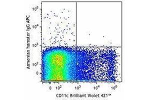 Flow Cytometry (FACS) image for anti-Jagged 1 (JAG1) antibody (APC) (ABIN2658199)