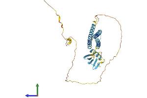 AlphaFold protein structure predicition of Mouse Recombinant Bag1 Protein, UniprotID Q60739