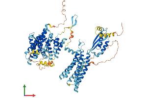 AlphaFold protein structure predicition of Human Recombinant SLC30A5 Protein, UniprotID Q8TAD4