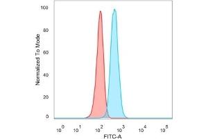 Flow cytometric analysis of PFA-fixed HeLa cells. (TDRKH anticorps)