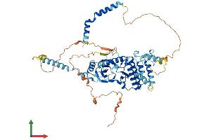 AlphaFold protein structure predicition of Mouse Recombinant Riok1 Protein, UniprotID Q922Q2