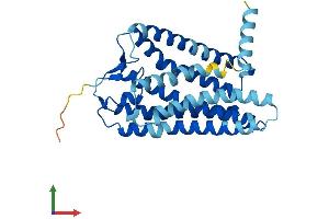 AlphaFold protein structure predicition of Human Recombinant OR5I1 Protein, UniprotID Q13606