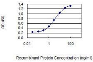 anti-Complement Factor D (CFD) (AA 154-253) antibody