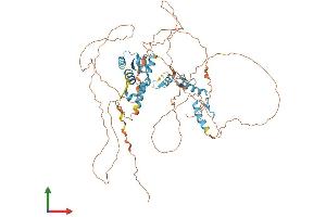 AlphaFold protein structure predicition of Human Recombinant ZBTB22 Protein, UniprotID O15209