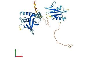 AlphaFold protein structure predicition of Human Recombinant STAP1 Protein, UniprotID Q9ULZ2