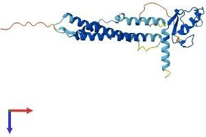 AlphaFold protein structure predicition of Mouse Recombinant Nsmce2 Protein, UniprotID Q91VT1
