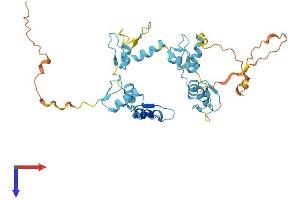 AlphaFold protein structure predicition of Mouse Recombinant Gtf3a Protein, UniprotID Q8VHT7