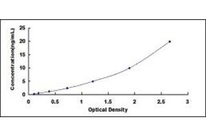 Typical standard curve (F11R Kit ELISA)