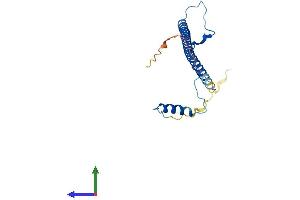 AlphaFold protein structure predicition of Mouse Recombinant Prkrip1 Protein, UniprotID Q9CWV6