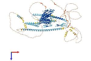 AlphaFold protein structure predicition of Human Recombinant KIF17 Protein, UniprotID Q9P2E2
