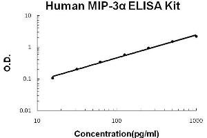 Human MIP-3 alpha/CCL20 PicoKine ELISA Kit standard curve (CCL20 Kit ELISA)