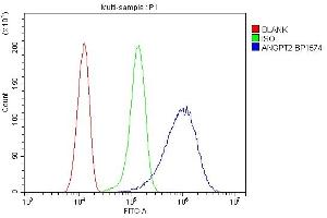 Flow Cytometry analysis of HeLa cells using anti-ANGPT2 antibody (ABIN7601450). (Angiopoietin 2 anticorps  (AA 357-404))