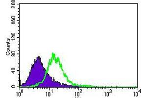 Flow cytometric analysis of HeLa cells using MAP1LC3A mouse mAb (green) and negative control (purple). (MAP1LC3A anticorps  (AA 1-121))