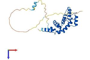 AlphaFold protein structure predicition of Mouse Recombinant Rgs1 Protein, UniprotID Q9JL25
