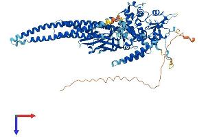 AlphaFold protein structure predicition of Human Recombinant STAT5B Protein, UniprotID P51692