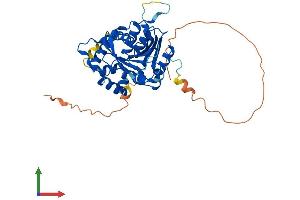 AlphaFold protein structure predicition of Mouse Recombinant Ndrg3 Protein, UniprotID Q9QYF9