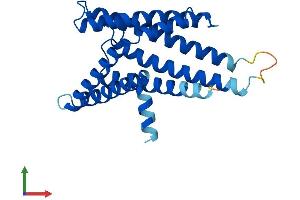 AlphaFold protein structure predicition of Mouse Recombinant Pex11g Protein, UniprotID Q6P6M5