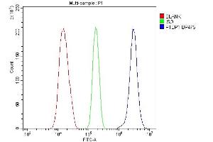 Flow Cytometry analysis of 293T cells using anti-PTBP1 antibody (ABIN7599451).