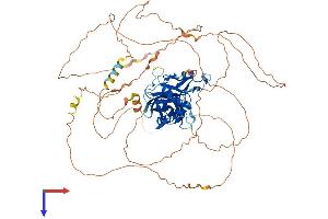 AlphaFold protein structure predicition of Mouse Recombinant Cpeb3 Protein, UniprotID Q7TN99
