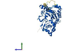 AlphaFold protein structure predicition of Mouse Recombinant Gcnt4 Protein, UniprotID E9Q649