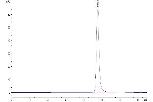 The purity of Human Kallikrein 5 is greater than 95 % as determined by SEC-HPLC. (Kallikrein 5 Protein (KLK5) (AA 23-293) (His tag))
