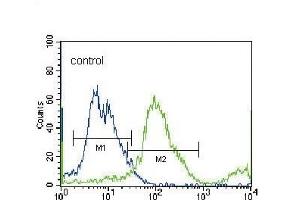 SLC36A1 Antibody (N-term) (ABIN656104 and ABIN2845446) flow cytometric analysis of NCI- cells (right histogram) compared to a negative control cell (left histogram).