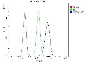 Flow Cytometry analysis of A431 cells using anti-HSPD1 antibody (ABIN7600976). (HSPD1 anticorps  (AA 260-496))