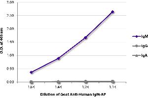 ELISA plate was coated with purified human IgM, IgG, and IgA. (Chèvre anti-Humain IgM (Heavy Chain) Anticorps (Alkaline Phosphatase (AP)))