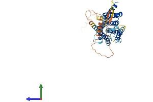 AlphaFold protein structure predicition of Human Recombinant DRD3 Protein, UniprotID P35462