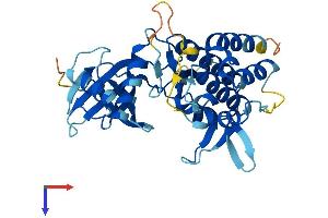 AlphaFold protein structure predicition of Mouse Recombinant Pdik1l Protein, UniprotID Q8QZR7