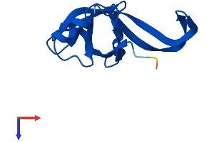 AlphaFold protein structure predicition of Human Recombinant RPL35A Protein, UniprotID P18077