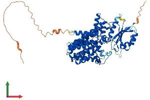 AlphaFold protein structure predicition of Human Recombinant PIGB Protein, UniprotID Q92521