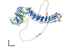 AlphaFold protein structure predicition of Human Recombinant RIPK4 Protein, UniprotID P57078