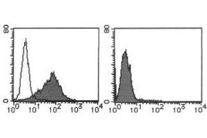 Flow Cytometry (FACS) image for anti-Mesothelin (MSLN) antibody (ABIN1449246) (Mesothelin anticorps)