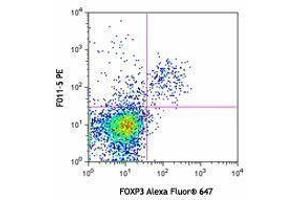 Flow Cytometry (FACS) image for anti-Leucine Rich Repeat Containing 32 (LRRC32) antibody (PE) (ABIN2662727) (LRRC32 anticorps  (PE))