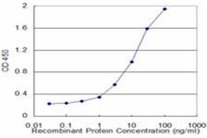Detection limit for recombinant GST tagged BLMH is approximately 0.