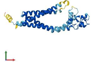 AlphaFold protein structure predicition of Human Recombinant TSPAN3 Protein, UniprotID O60637
