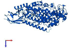 AlphaFold protein structure predicition of Mouse Recombinant Alox5 Protein, UniprotID P48999